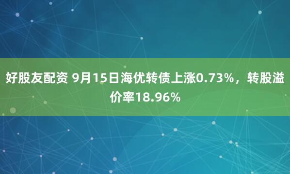 好股友配资 9月15日海优转债上涨0.73%，转股溢价率18.96%