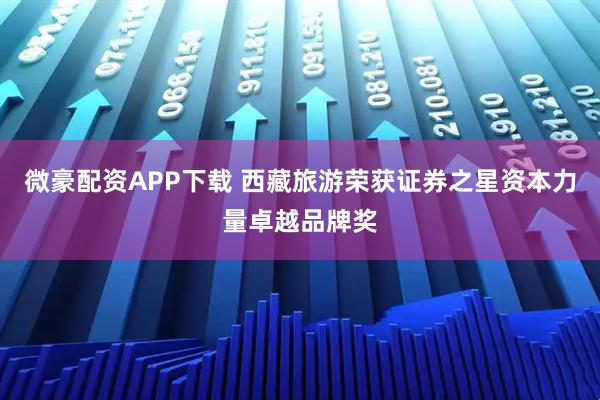 微豪配资APP下载 西藏旅游荣获证券之星资本力量卓越品牌奖