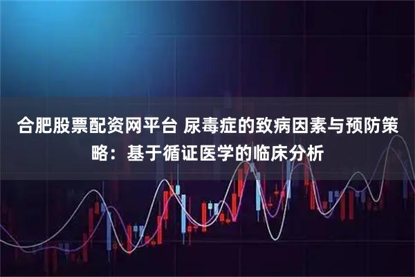 合肥股票配资网平台 尿毒症的致病因素与预防策略：基于循证医学的临床分析