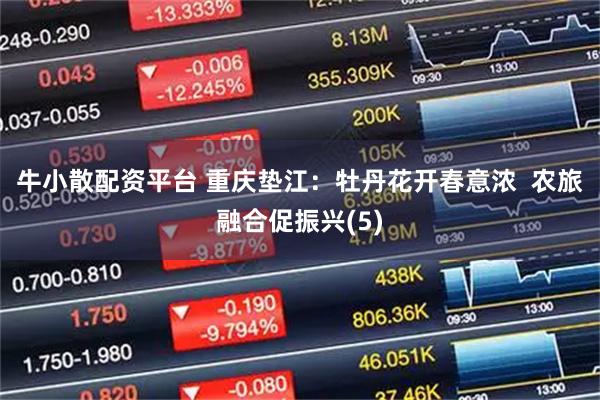 牛小散配资平台 重庆垫江：牡丹花开春意浓  农旅融合促振兴(5)
